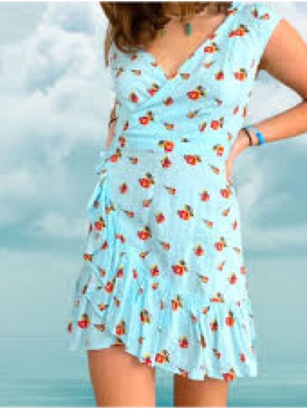 J. Crew Light Blue Floral Wrap Dress with Red Flowers